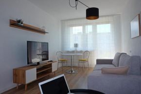 A spacious apartment for holidays and weekends in Ełk